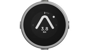 Beeline Moto