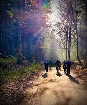 Guidet tur på spor på E-mtb 1.5 Time Pr. Person