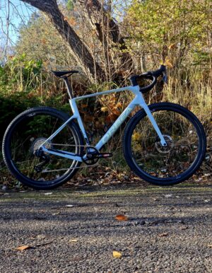 Orbea ERRA RACE M31eLTD 1X L FROZEN