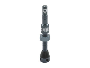 Ambit Valve Stem Realm ambit blue-grey