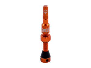 Ambit Valve Stem Realm oragne