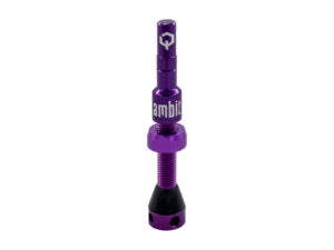 Ambit Valve Stem Realm purple