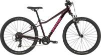 Cannondale Kids Trail 24 C2